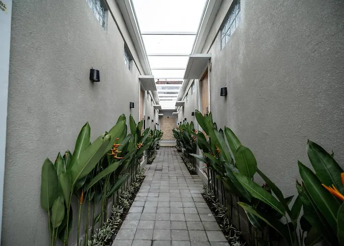 The Eight & Bali -